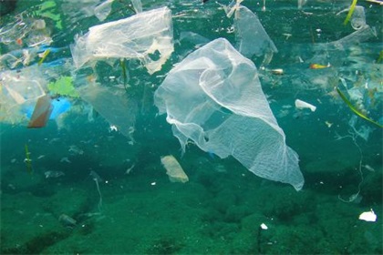 塑料垃圾严重影响海洋生态!各国"手段"力阻污染