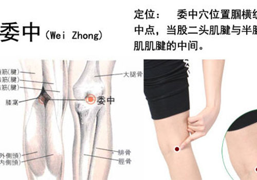 人体三大排湿口:   膝窝的委中穴   位于腿窝的中心点上,这里有个