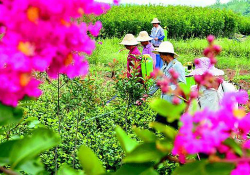 村道弯弯,绿草茵茵.