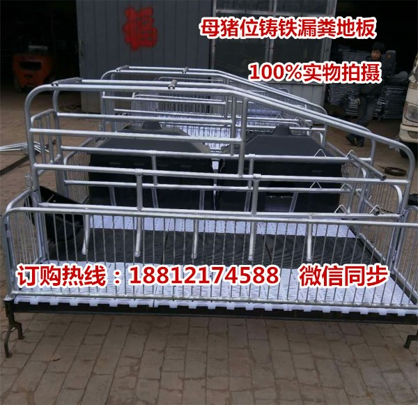 猪舍配套使用的母猪产床,供应猪产床价格,养猪设备批发
