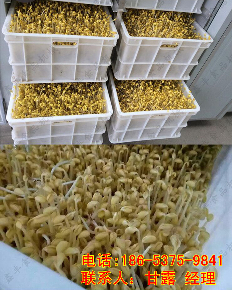 多功能豆芽机价格自动豆芽机控制器鑫丰双温双控豆芽机