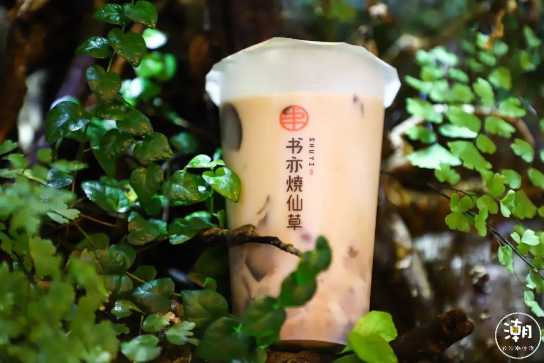 书亦烧仙草加盟费用及条件