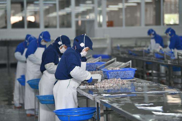 首页 详细页面   "集团共有8个水产加工厂,10个生产车间,目前全部投入