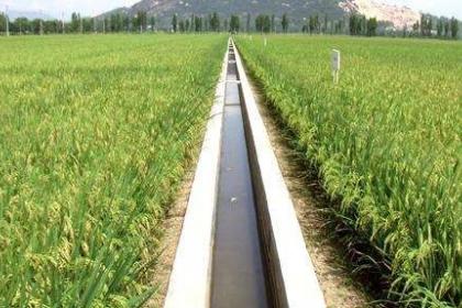 湖北省春灌水量足计划灌溉4000多万亩