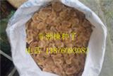 非洲楝种子(塞楝,非洲桃花心木)