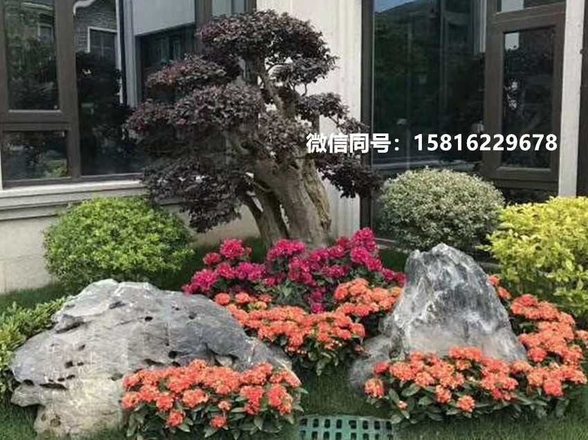 厂家批发太湖石,广东太湖石多少钱一吨,园林景观石