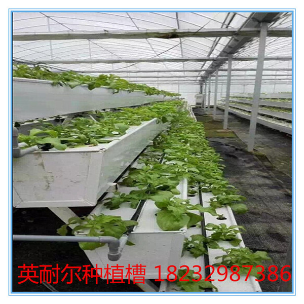 英耐尔农业温室草莓种植槽,pvc草莓槽