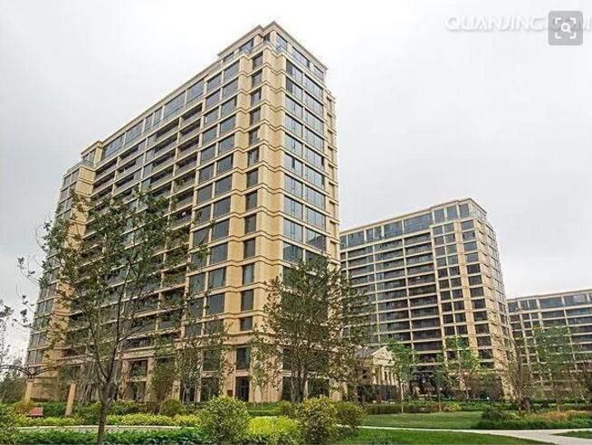 1228_买房还是买门面房好?听完售楼闺蜜说完