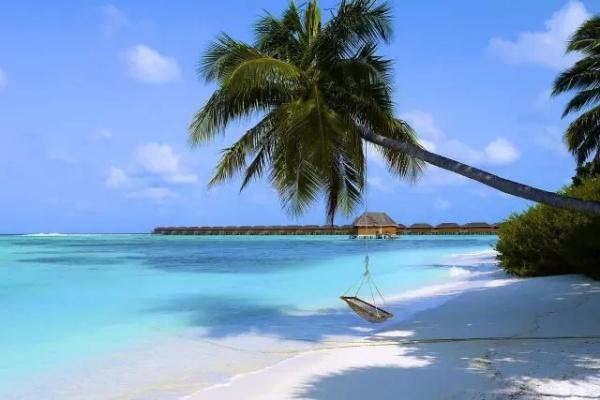 1203_很多人喜欢去马尔代夫,而马尔代夫究竟