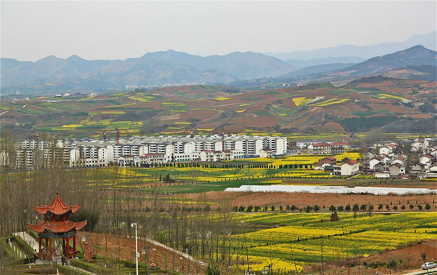 洋县积极培育商标品牌助推经济转型发展