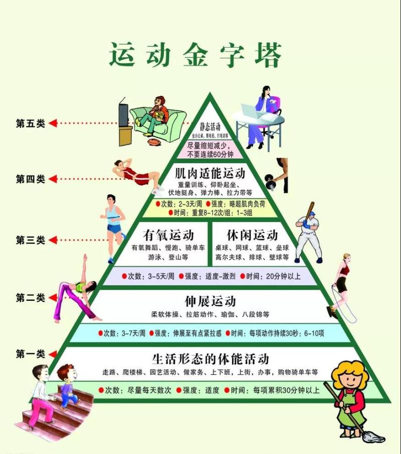 "科学健身金字塔"将运动行为按由多至少的频次分为五类