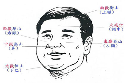 女子面相金水相生珠圆玉润,聪明得志遇贵人,一生富禄财神临