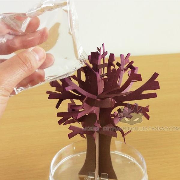 樱花树纸树开花