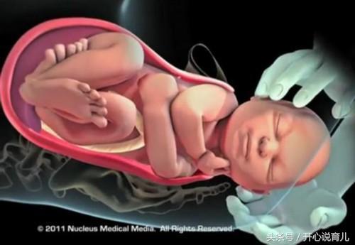 分娩痛得死去活来时宝宝在干嘛?