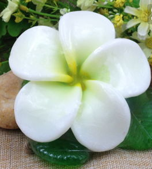 香皂花就是用香皂做成各种花的样子,包括有:玫瑰