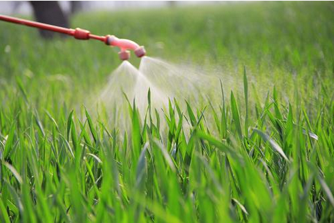 夏季喷施农药注意什么