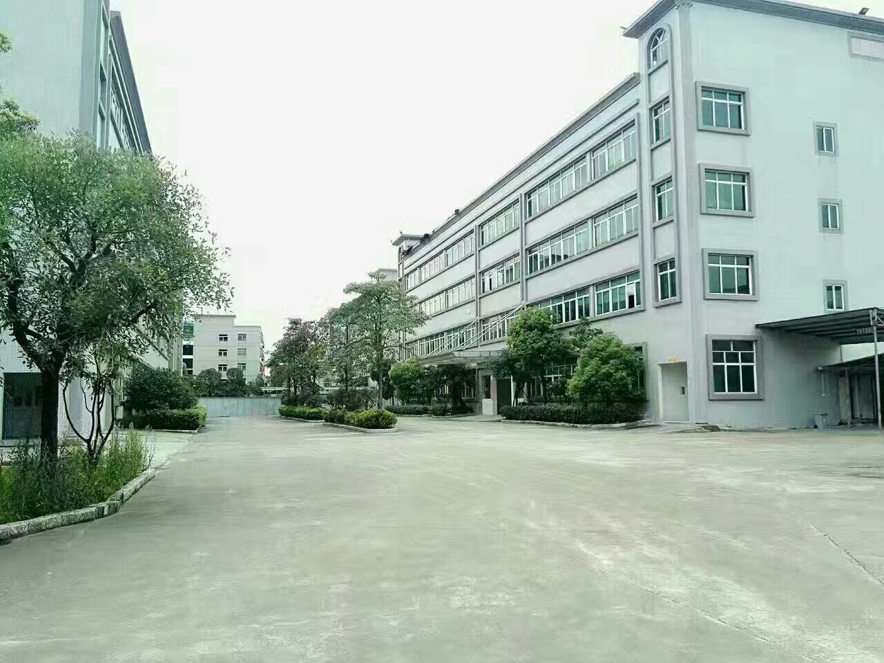 mmexport.jpg