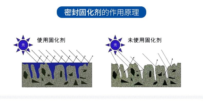 巴斯夫固化剂_08.jpg