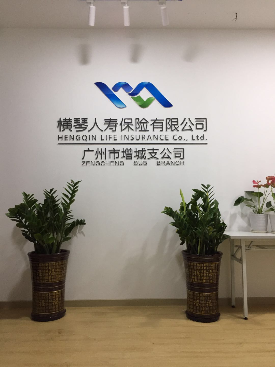 横琴保险 (2).jpg