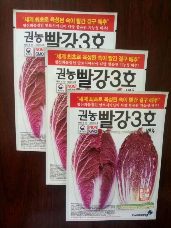 韓國進口紫白菜種子，從外紫到裡美豔無比