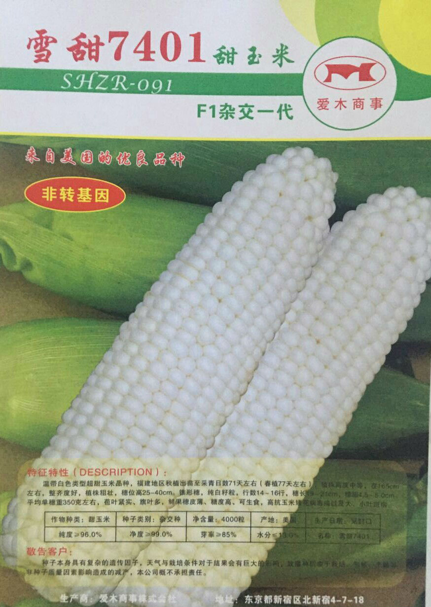 水果玉米種子雪甜7401進口品種