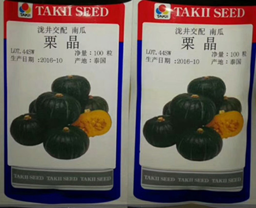 栗晶南瓜種子日本甜栗品種