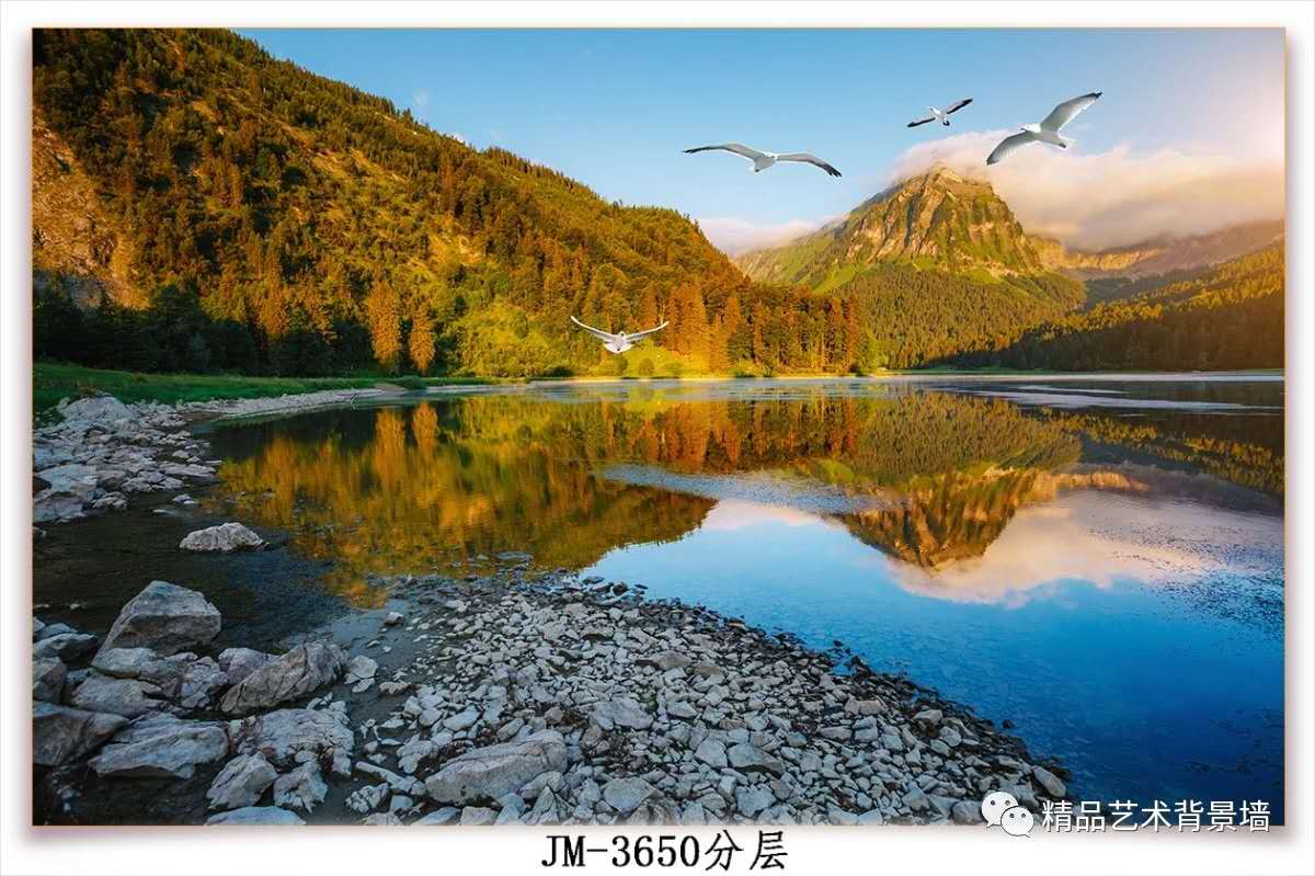 微信图片_2327.jpg