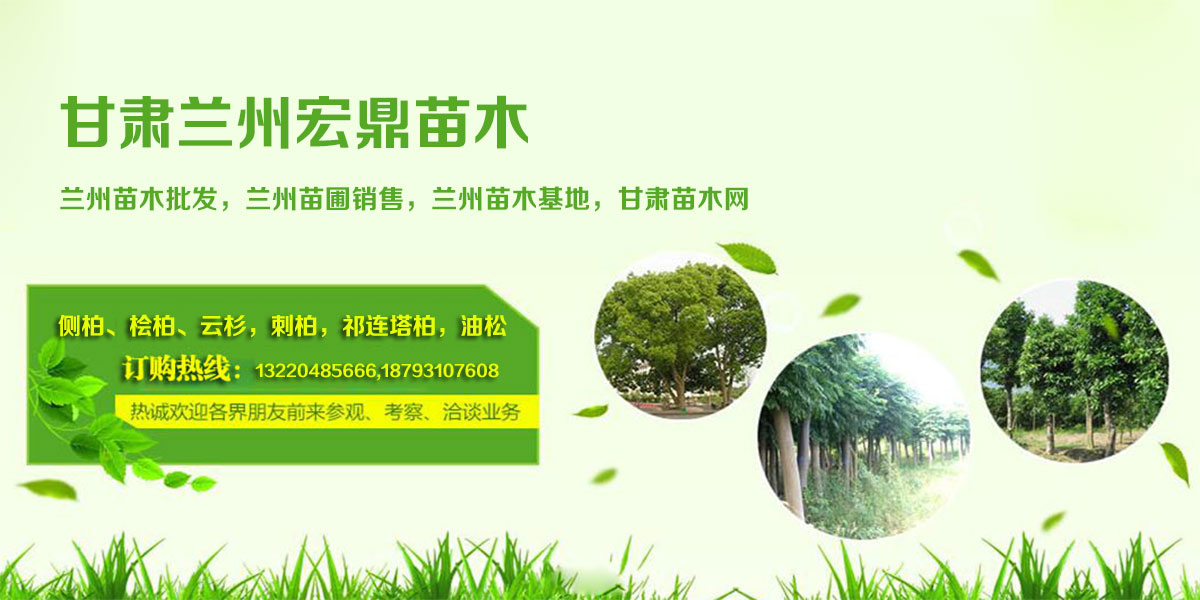 青海苗木绿化求购网站_青海苗木绿化求购网站大全 青海苗木绿化求购网站_青海苗木绿化求购网站大全