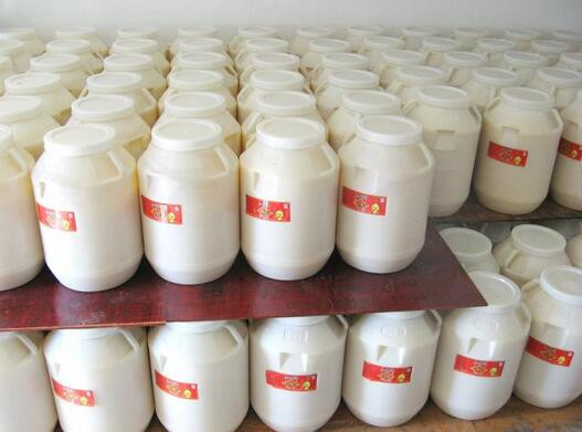 南京收购动物油，估价高，现款结算