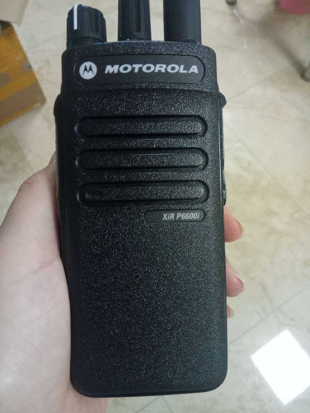 P6600I.jpg