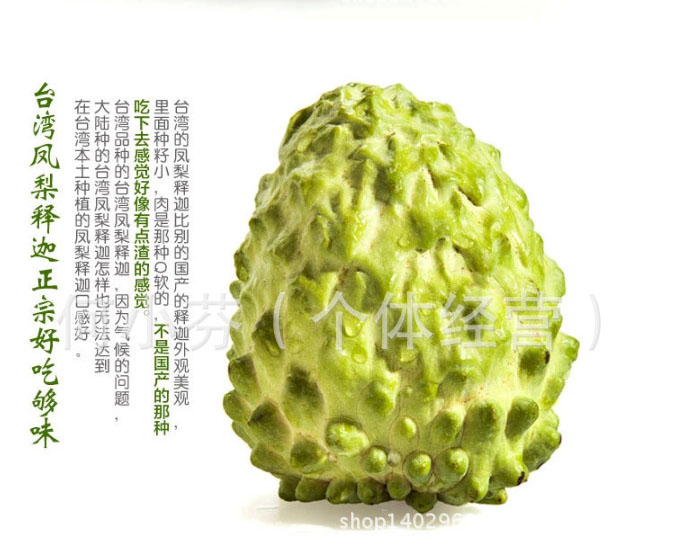 洋波罗 番苞萝 佛头果 番鬼荔枝