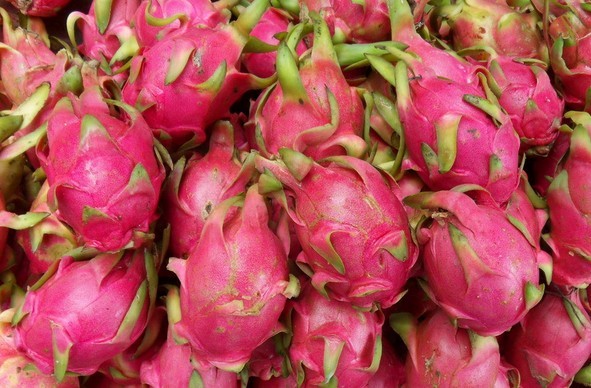 南方特产夏季新鲜龙珠果 红心火龙果 5斤装 红龙果