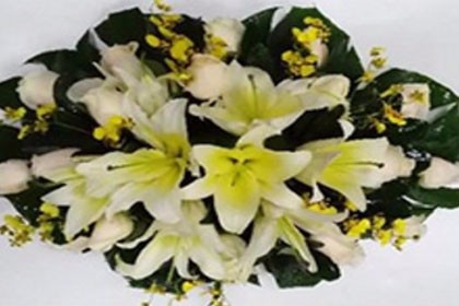 深圳活動會場花卉布置，得到客戶的廣泛好評