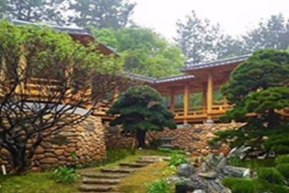 深圳羅湖別墅庭院綠化，滿足客戶的不同需求