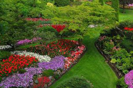 深圳别墅庭院綠化，深圳讓您擁有精緻草坪