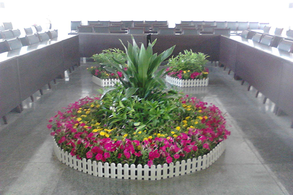 深圳專業的花卉租擺，負責運輸，送貨上門
