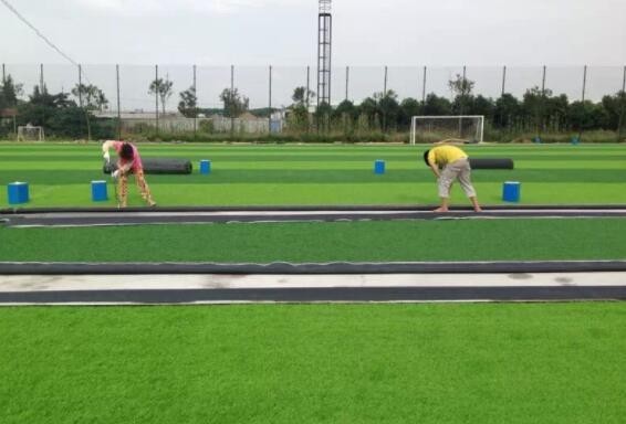 北京西城區草坪卷鋪栽，客戶滿意是我們的職責