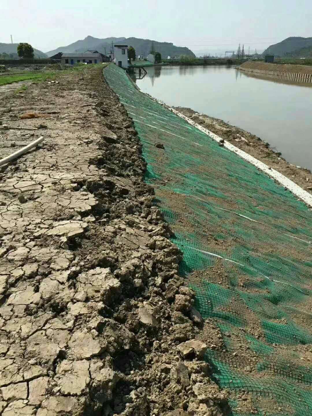 护坡绿化毯厂家德州九达抗冲生物毯