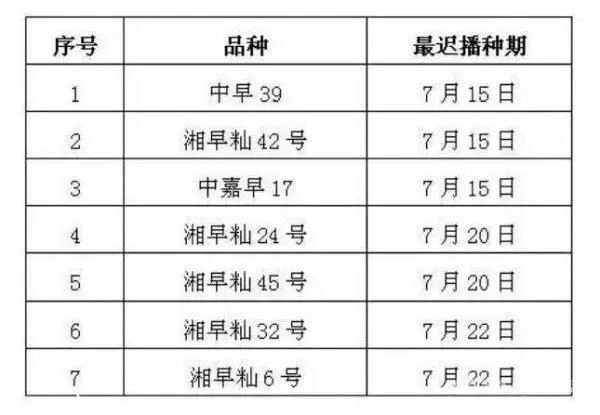 水稻播种时间图片