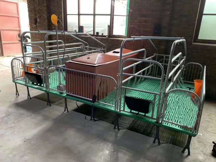 猪用结实产床,河北出售母猪分娩床