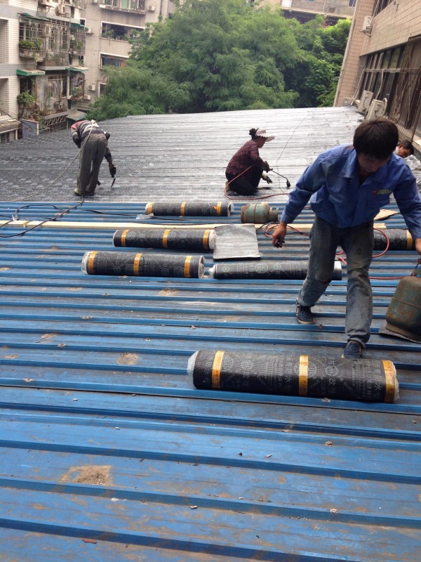 彩钢瓦屋面防水 (5).jpg