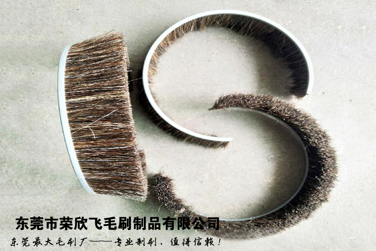QQ图片24.jpg
