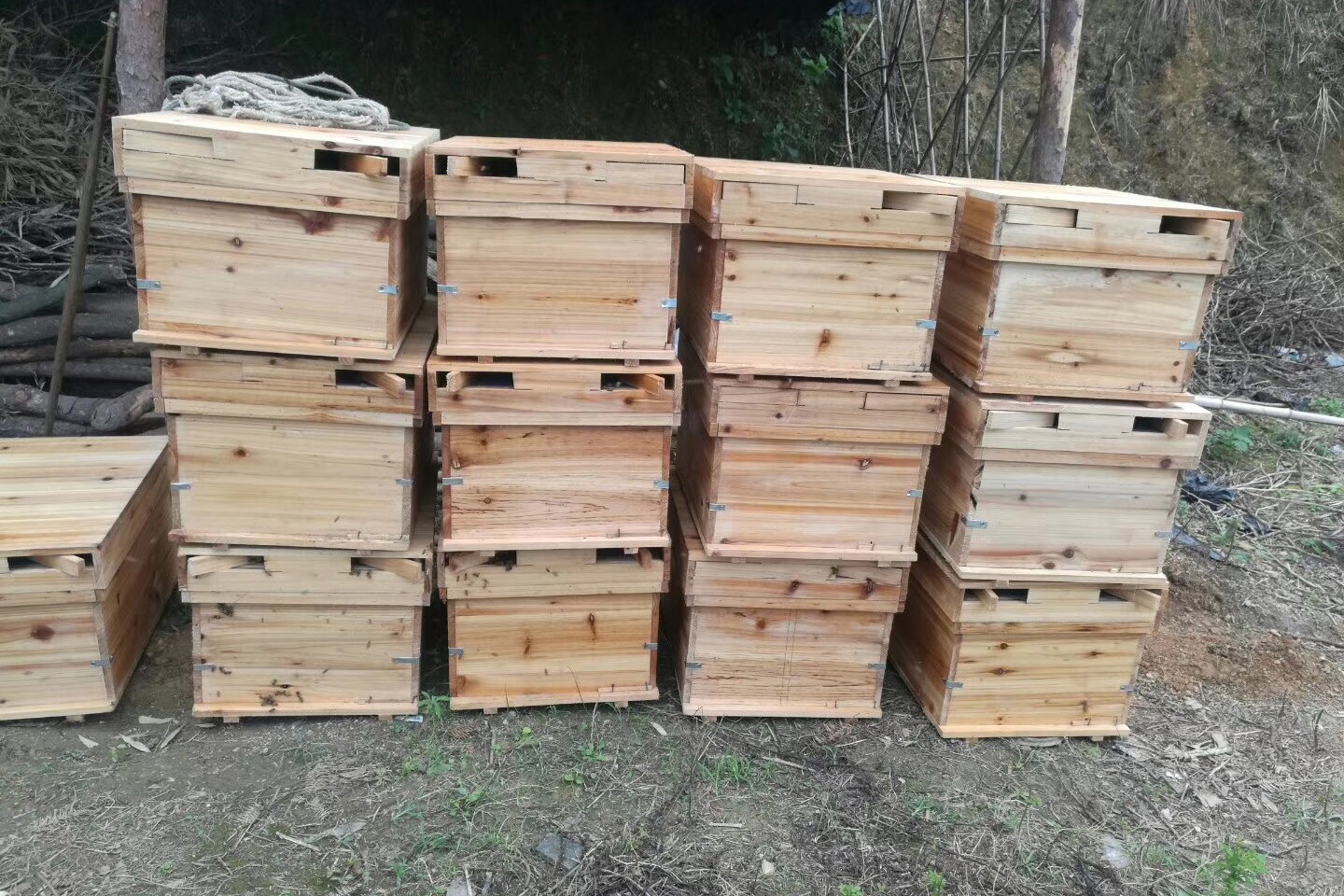 黔東南蜂蜜采集銷售，熱忱服務于每一位客戶
