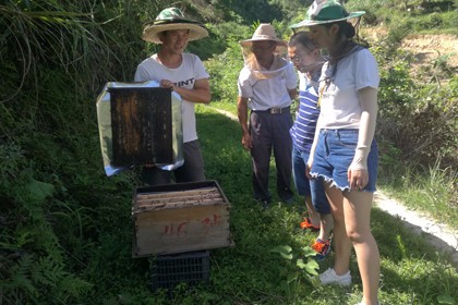 春繁時蜂病的識别與防禦對策，黔東南中蜂養殖服務