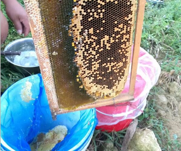 黔東南蜂蜜采集銷售，，無污染