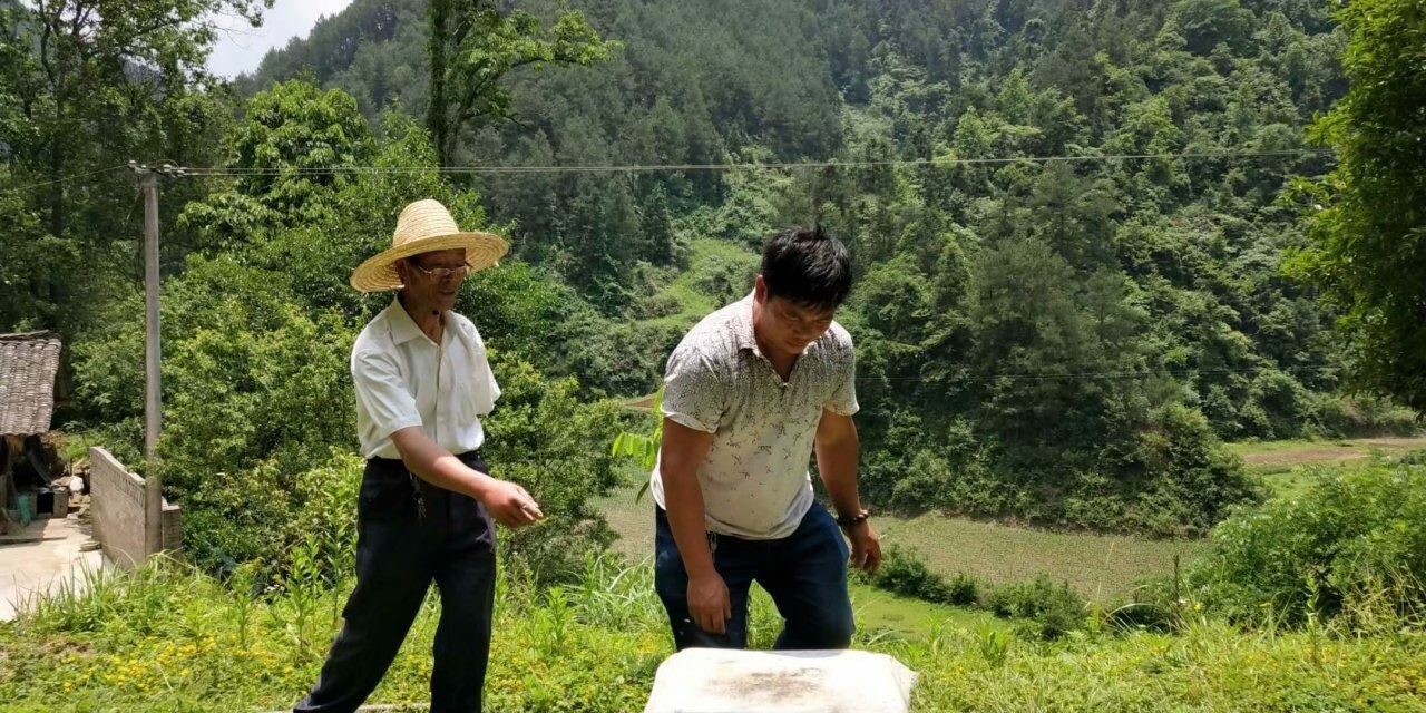 貴州中蜂繁基地，産業化養殖，團隊技術力量