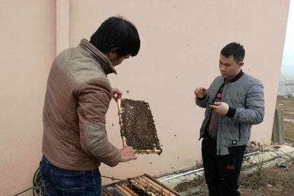黔東南蜜蜂養殖中心，誠信為本，服務周到