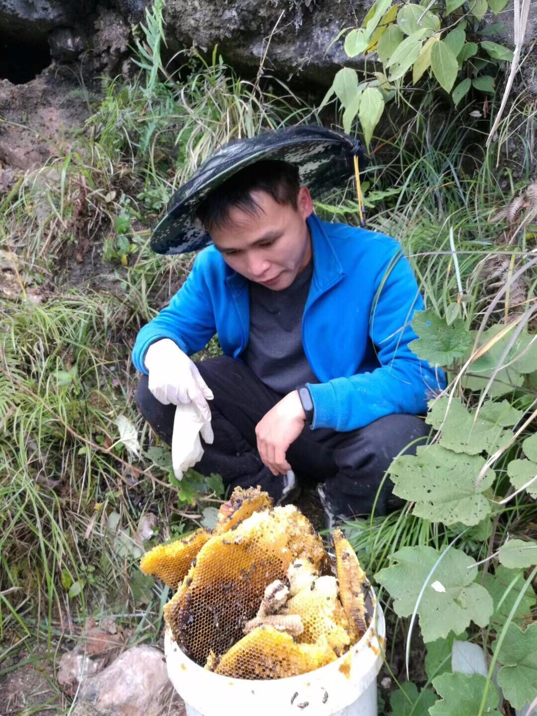 蜂蜜結晶處理辦法，黔東南蜂蜜加工研發