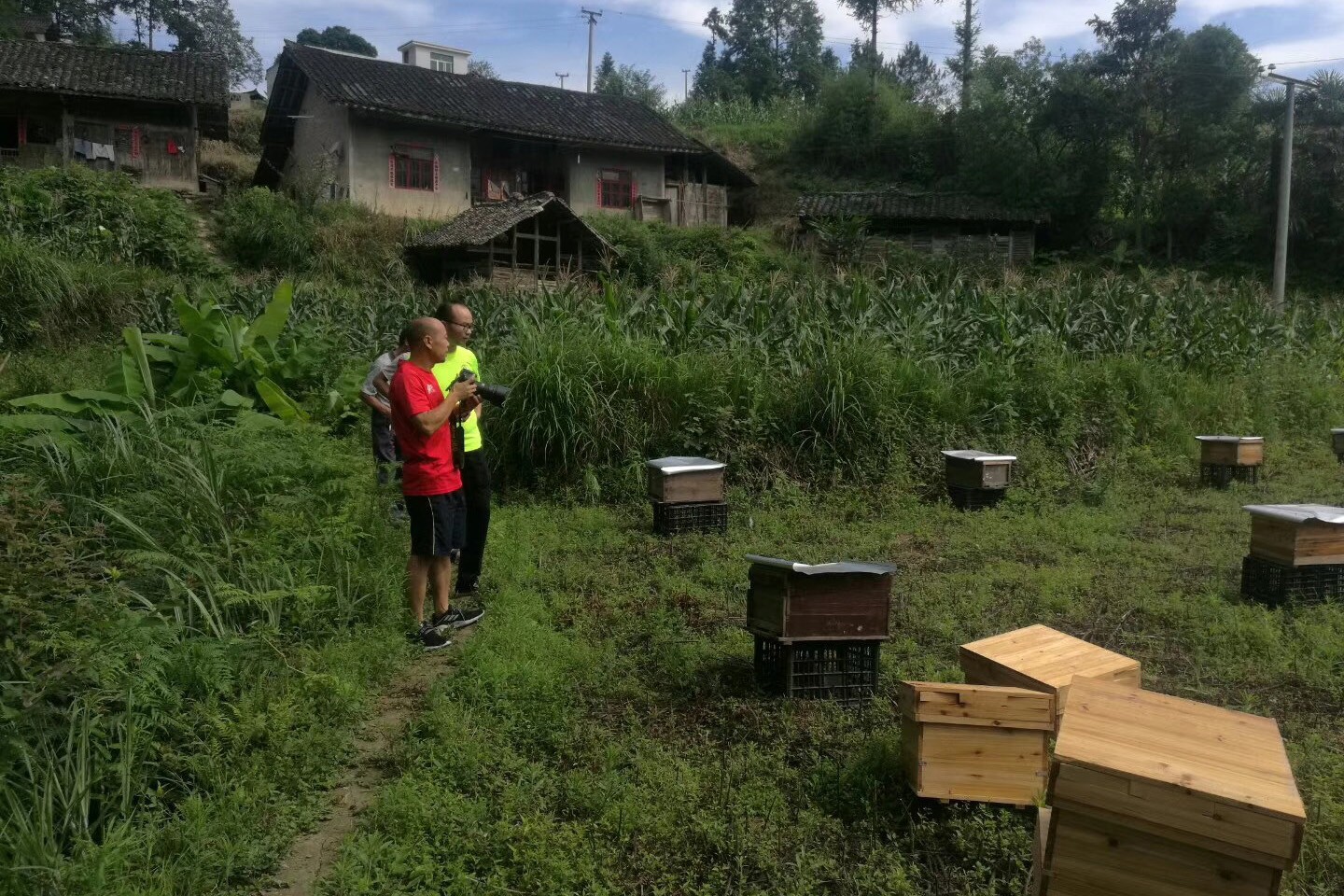 黔東南蜜蜂養殖基地，黔東公司實力雄厚，南蜜值得信賴