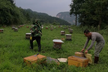服務至上，價格公道，黔東南蜂蜜保健品開發